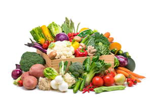 Ecological Quality