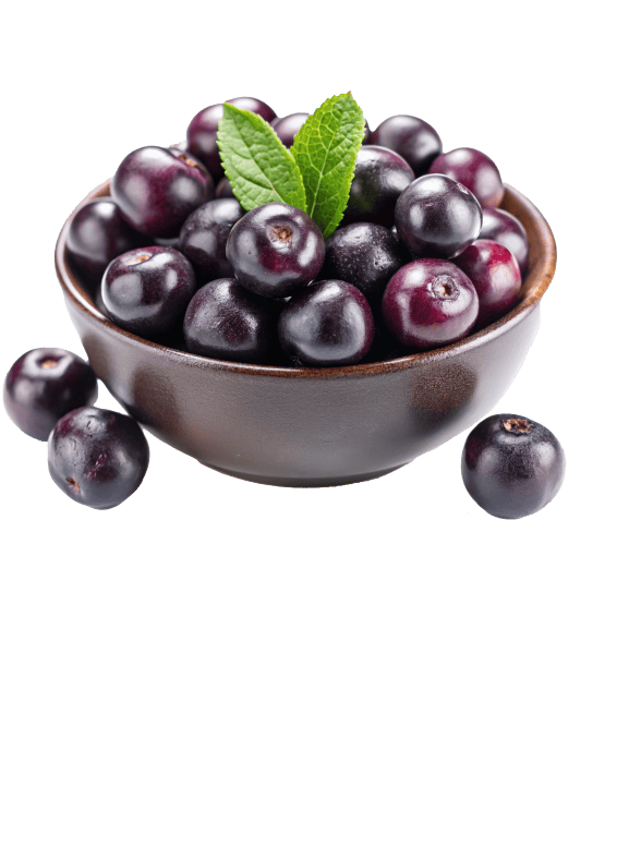 Features of the Açaí We Serve